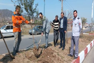 روز درخت‌کاری